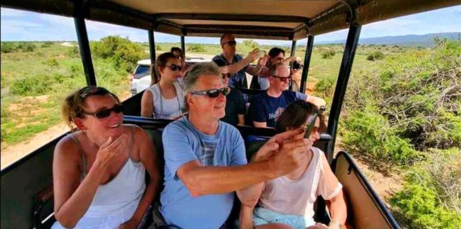 From Port Elizabeth: 5-Day Garden Route Tour to Cape Town - An In-Depth Look at the 5-Day Garden Route Tour