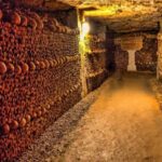 From Port Said : 2 Day Tour of Cairo and Alexandria - What to Expect on This Tour