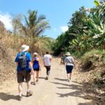 From Praia: Banana Plantation Tour and Cuscuz Workshop - What’s Included and Why It Matters
