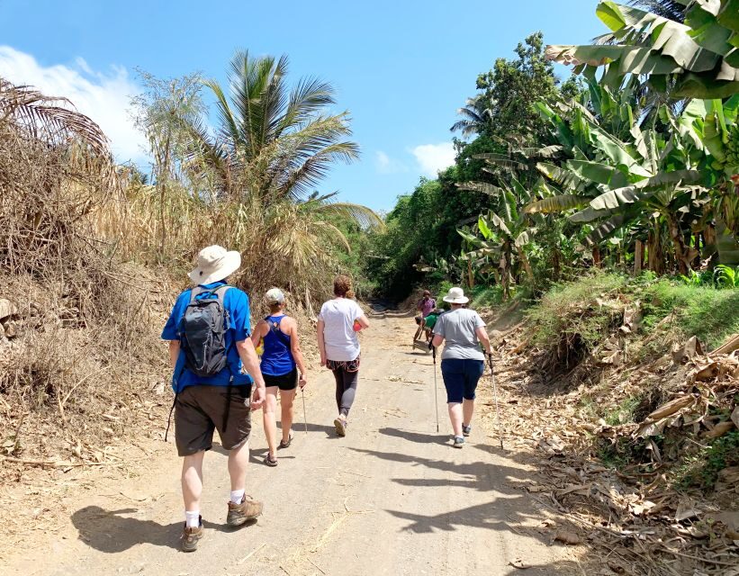 From Praia: Banana Plantation Tour and Cuscuz Workshop - What’s Included and Why It Matters