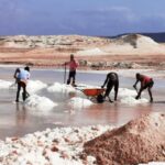 From Praia: Full-Day Sal Island Tour - Practical Tips for the Tour