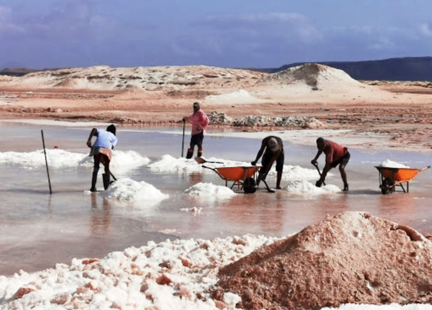 From Praia: Full-Day Sal Island Tour - Practical Tips for the Tour