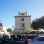 From Praia: Full-Day São Vicente Island Tour - A Practical Guide to the São Vicente Full-Day Tour