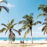 From Praia: Santiago Day Trip - Discover the Island in 1 Day - Why This Tour Offers Great Value