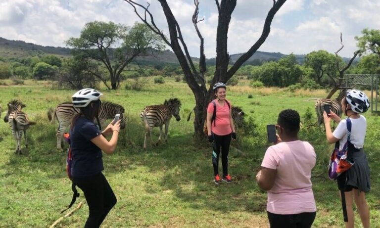 From Pretoria: E-Bike in the wild with game near Jo'burg - What’s Included and What to Keep in Mind