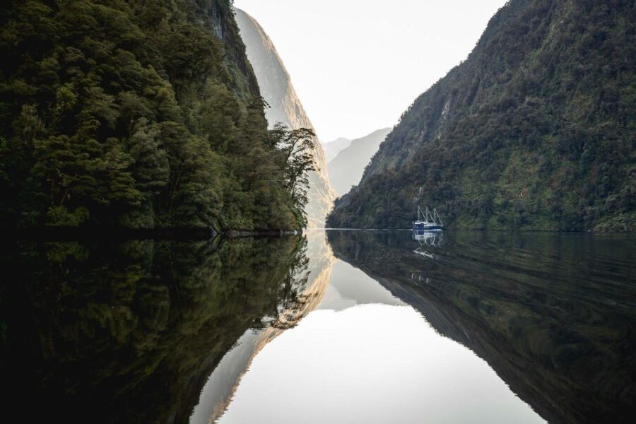 From Queenstown: Doubtful Sound Wilderness Day Trip - In-Depth Review
