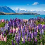 From Queenstown: Half-Day Guided Tour to Mount Cook - The Value and Practicalities
