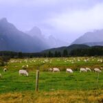 From Queenstown: Lord Of The Rings Tour to Glenorchy - Final Thoughts: Who Will Love This Tour?