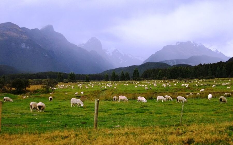 From Queenstown: Lord Of The Rings Tour to Glenorchy - Final Thoughts: Who Will Love This Tour?
