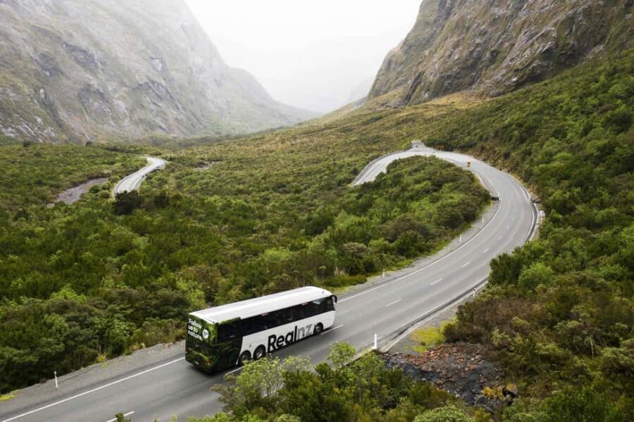 From Queenstown: Milford Sound Cruise and Coach Day Trip - Milford Sound Cruise: A 2-Hour Spectacle