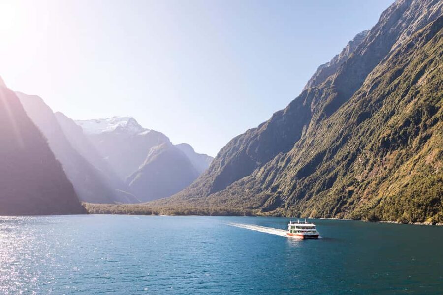 From Queenstown: Milford Sound Cruise & Scenic Coach Tour - The Itinerary in Detail
