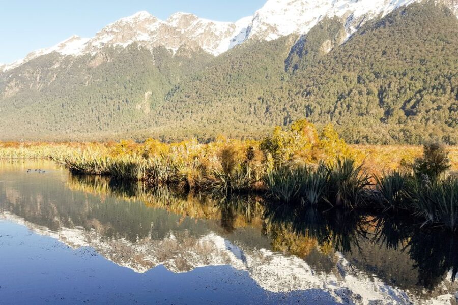 From Queenstown: Milford Sound Premium Day Tour and Cruise - The Highlights of Milford Sound
