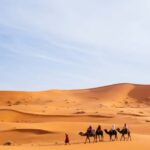 From Rabat: 4 Days 3 Nights Sahara Desert Tour - Exploring the Itinerary in Detail