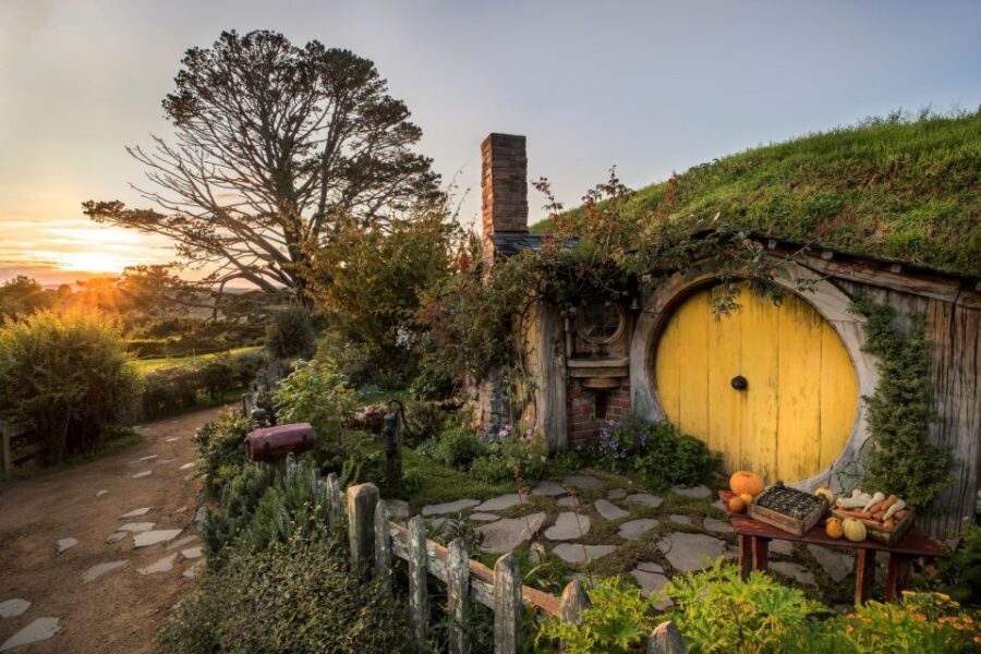 From Rotorua: Hobbiton Movie Set Tour with Festive Lunch - The Itinerary: What to Expect Step-by-Step
