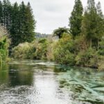 From Rotorua - WAI-O-TAPU - WAIKITE Pool & HUKA FALLS Cruise - Exploring Rotorua’s Top Attractions in One Day