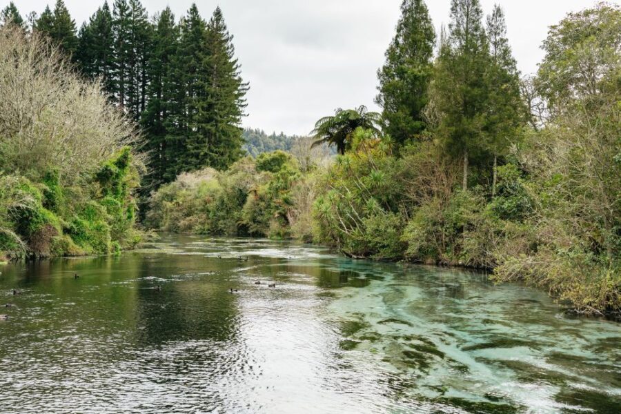 From Rotorua - WAI-O-TAPU - WAIKITE Pool & HUKA FALLS Cruise - Exploring Rotorua’s Top Attractions in One Day