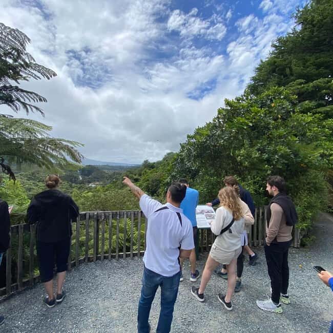 From Rotorua: Wai-O-Tapu, Waimangu and Te Puia Full-Day Tour - Detailed Breakdown of the Itinerary