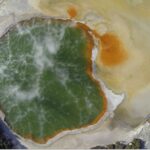 From Rotorua: Wai O Tapu & Waimangu Eco Thermal Morning Tour - A detailed look at the experience