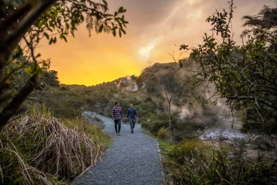 From Rotorua: WAIMANGU VOLCANIC VALLEY Half-Day Tour - The Itinerary: What to Expect