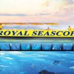 From Safaga: Royal Seascope Submarine with Snorkeling - The Marine Environment and Natural Beauty