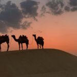 From Salalah: Lost City (Full Day Excursion to Rub Al Khali) - Authentic Experiences and Hidden Gems