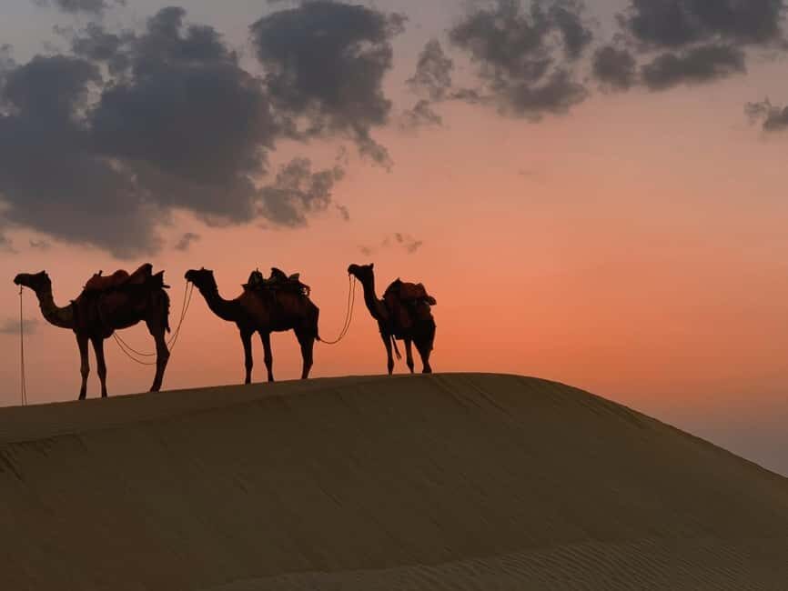 From Salalah: Lost City (Full Day Excursion to Rub Al Khali) - Authentic Experiences and Hidden Gems