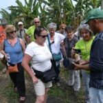 From São Filipe: Crater, Tastings & Historic Villages Tour - Practical Details and Tips