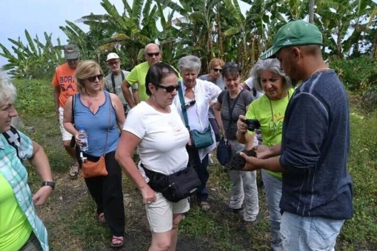 From São Filipe: Crater, Tastings & Historic Villages Tour - Practical Details and Tips