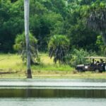 From Selous Game Reserve: Rufiji River Wildlife Boat Safari - Exploring the Rufiji River Wildlife Boat Safari in Detail