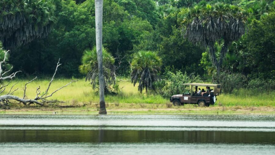From Selous Game Reserve: Rufiji River Wildlife Boat Safari - Exploring the Rufiji River Wildlife Boat Safari in Detail