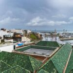 From Seville: Full-Day Tour to Tangier - The Highlights and How They Add to the Experience