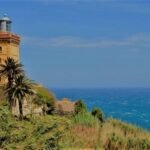 From Seville: Tangier Day Trip with Local Guide and Lunch - The Stops in Detail