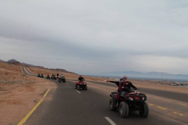 From Sharm: Dahab Day Trip with Desert Safari and Camel Ride - What Makes This Tour Stand Out