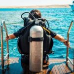 From Sharm: Luxury Diving cruise to Ras Mohammed with Lunch - Final Thoughts: Is It Worth It?
