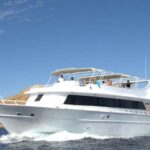 From Sharm: Ras Mohammed Cruise with Island Visit and Lunch - What Makes This Tour Special?