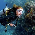 From Sharm: Ras Muhammed & White Island By Boat & intro Dive - What to Expect from the Experience