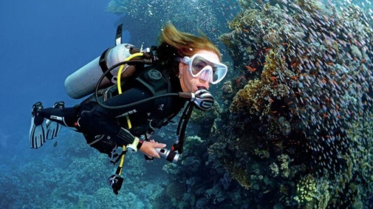 From Sharm: Ras Muhammed & White Island By Boat & intro Dive - What to Expect from the Experience