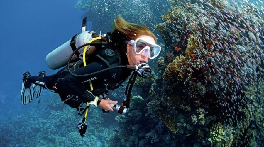 From Sharm: Ras Muhammed & White Island By Boat & intro Dive - What to Expect from the Experience