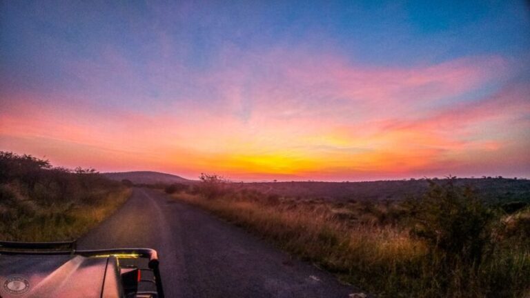From St Lucia: iSimangaliso Sunset Safari - What to Expect on the Tour