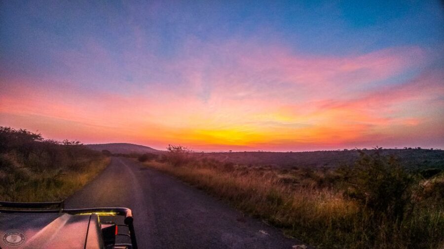 From St Lucia: iSimangaliso Sunset Safari - What to Expect on the Tour