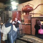 From Stellenbosch: Hop-On Hop-Off Wine Tour Southern Route - Key Points
