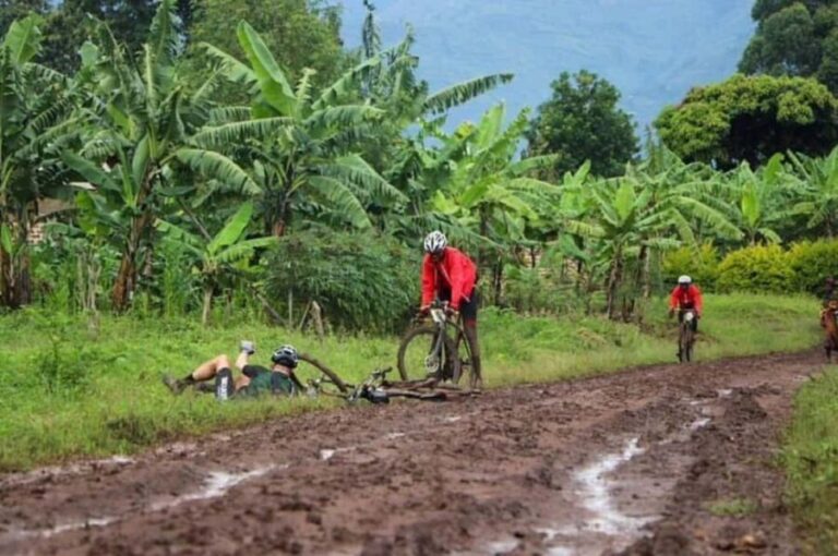 From Stone town: Bicycle Spice Tour with Swahili Lunch - Exploring Zanzibar on Two Wheels