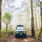 From Sydney: 2-Day Blue Mountains Camping 4WD & River Cruise - Is It Worth the Price?