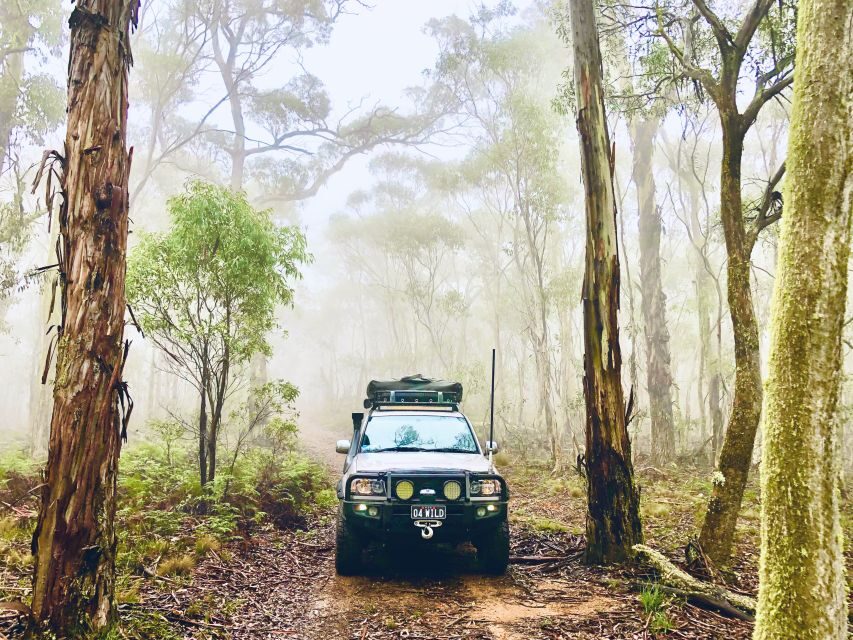 From Sydney: 2-Day Blue Mountains Camping 4WD & River Cruise - Is It Worth the Price?