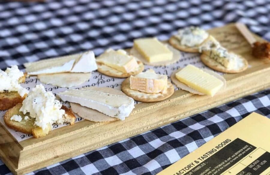 From Sydney: Award-Winning Hunter Valley Wine & Cheese Tour - Tasting Experiences: Wines and Artisanal Cheeses