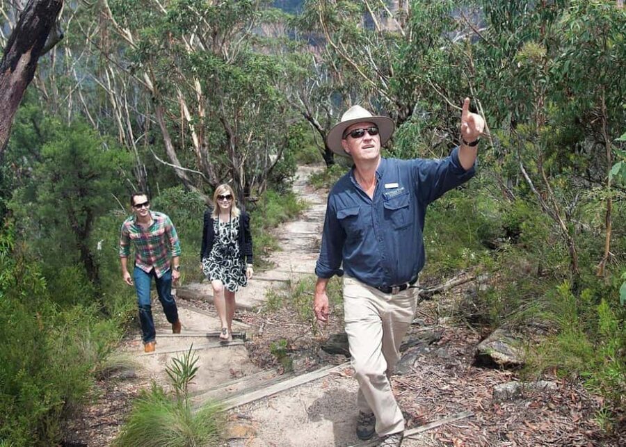 From Sydney: Blue Mountains Bushwalks & Featherdale Tour - Why This Tour Works for Different Travelers