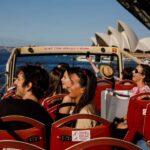 From Sydney: Blue Mountains Day Tour & Hop-on, Hop-off Tour - The Value of This Tour