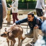 From Sydney: Blue Mountains Full-Day Trip - Who is this tour best suited for?