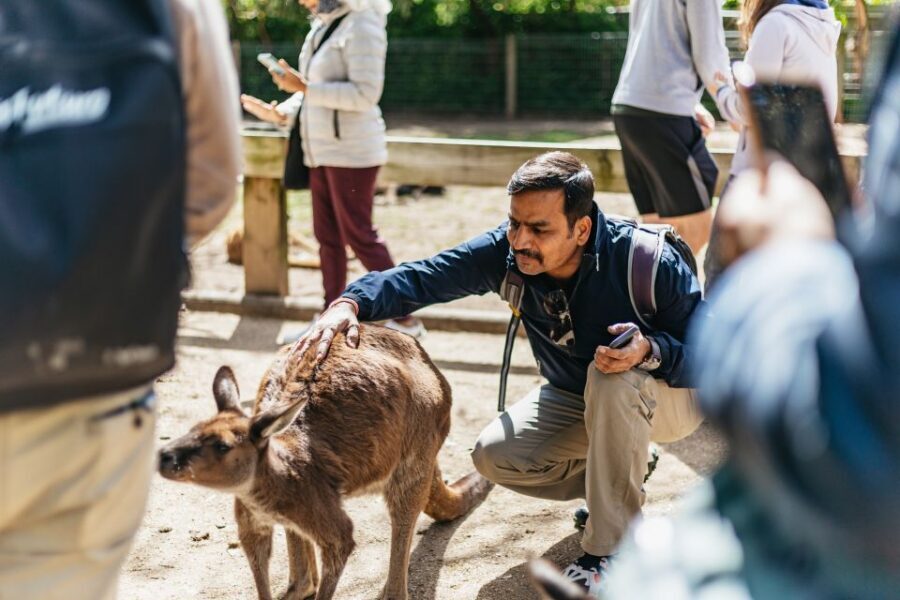 From Sydney: Blue Mountains Full-Day Trip - Who is this tour best suited for?