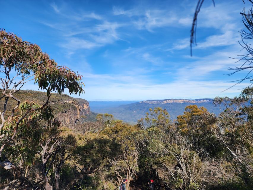 From Sydney: Blue Mountains Tour with Waterfall Walk & Lunch - Who Will Love This Tour?